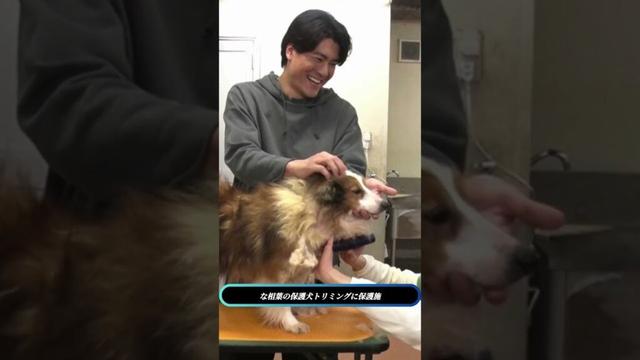 🐶「森本慎太郎が保護犬トリミング初挑戦！感動の瞬間に涙…」✨