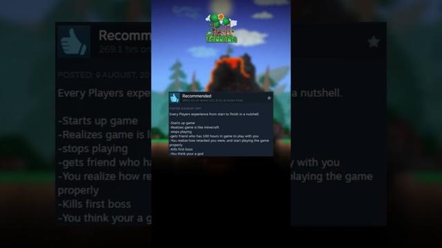 Terraria - Funny Steam Reviews! (4) #terraria #terrariameme #steamreviews #funnyreviews #shortsfeed