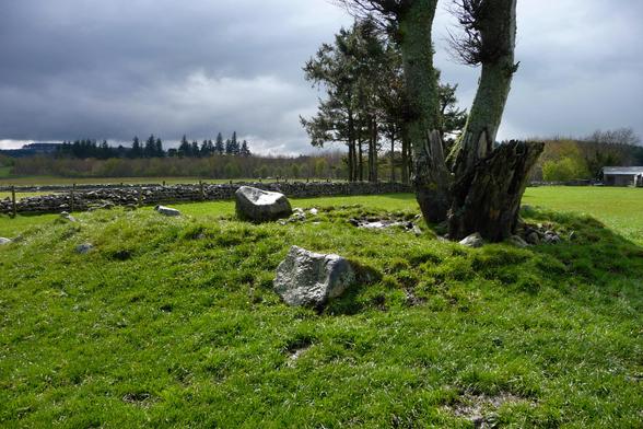 A grass-covered stone ring under a tree.some larger kerbstones stand upright above the turf. The ring is illuminated by sunshine but the sky beyond is very dark, heavy with sleety rain