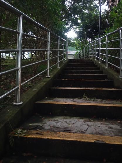 A  flight of stairs, flanked by trees on both sides. It leads upwards and light appears at the top of the stairs. No humans are in the picture (for better or for worse)