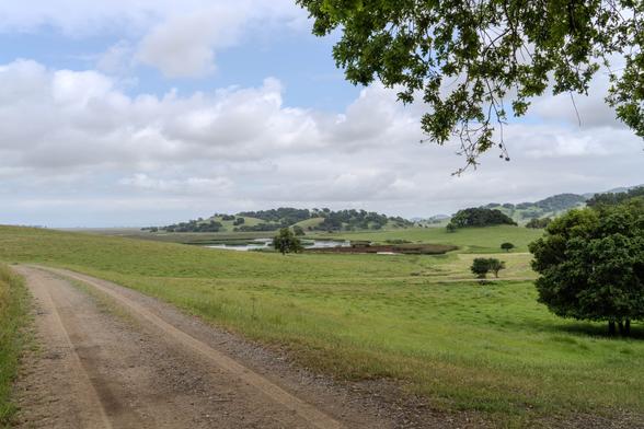 A landscape photograph with a well-used dirt road in the lower left and rolling hills in the distance.
