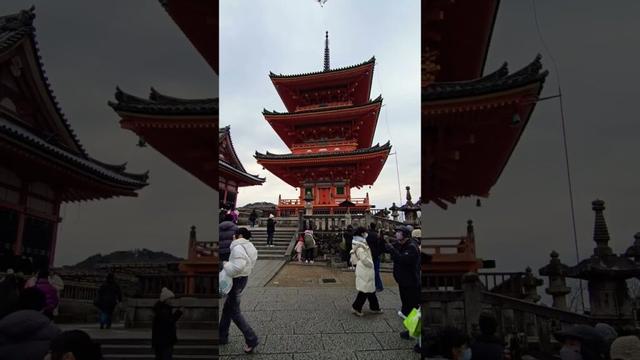 Kyoto, Japan 🇯🇵 #shorts #kyoto #japan