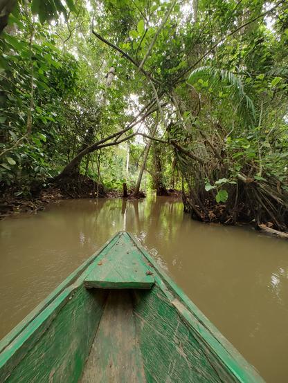 On voit l'avant d'une pirogue verte qui avance sur une eau marécageuse, dans le fond il y a des arbres qui forment un tunnel