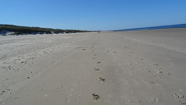 Breed strand met voetstappen en in de verte twee wandelaars.