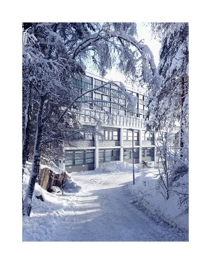 Idyllic winter scenery in Oslo