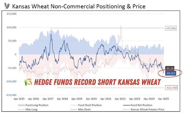 Hedgefunds BAJISTAS en #Trigo Kansas. 📉 No comerciales OTRA VEZ *RÉCORD* en cortos netos en futuros Trigo Kansas s/datos CFTC COT del finde. 🚨 Poco riesgo productivo/geopolítico descontado. 🌾