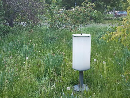 Auf einer Wiese steht ein weißer Glaszylinder, der eine Lampe ist. Im Hintergrund Sträucher