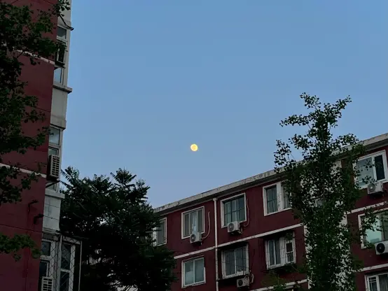 Moonlight above the apartment