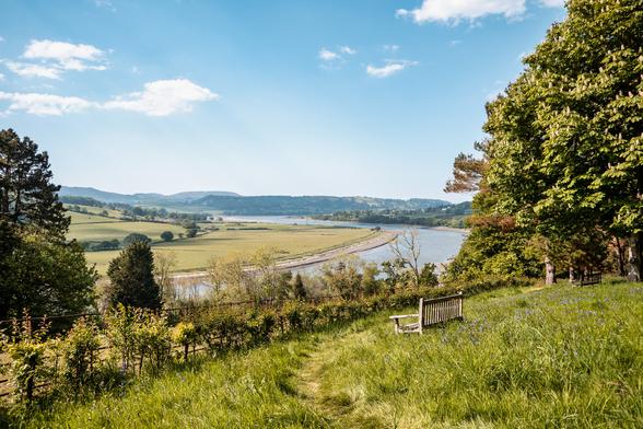 A park bench set amongst bluebells and wild flowers overlooking a river valley and hills bathed in sunshine.