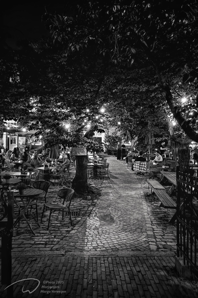 Spring night, entrance to a hidden terrace behind bushes and under plane trees in the city where people enjoy a drink in the open air in the half-darkness.