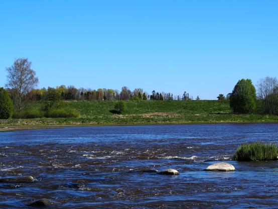 A serene river scene featuring gently flowing water, smooth stones in the foreground, and a lush green hillside lined with trees under a clear blue sky.