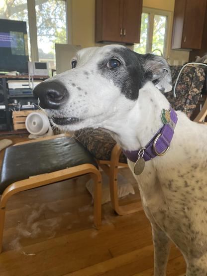 I’m instructing the help regarding timely preparation of my brekkie.