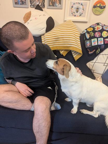 A white transmasc sat on a blue sofa with a white and brown jack russel. The human is wearing a grey t shirt, blue shorts, and sports socks. The human and dog are looking at each other