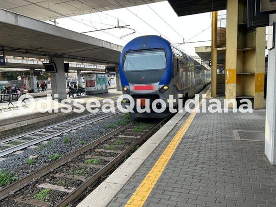 🚆 È stato approvato il nuovo collegamento ferroviario tra la linea regionale #FL3 e il Policlinico #Gemelli, uno dei principali poli ospedalieri di Roma.

Il via libera è arrivato dalla Conferenza dei Servizi. L’obiettivo è migliorare l’accessibilità all’area ospedaliera e universitaria, riducendo l’impatto del traffico privato e rafforzando l’interscambio con il trasporto pubblico 🚉

La linea FL3 si conferma fondamentale nel disegno della #mobilitàurbana della Capitale. Un'infrastruttura utile non solo per i residenti ma anche per studenti, pazienti e lavoratori del comparto sanitario.