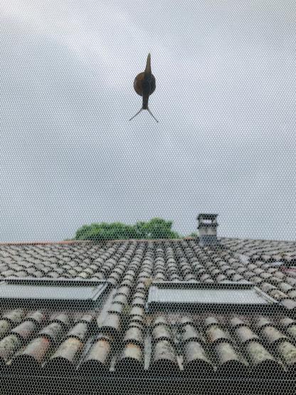 Un escargot sur une moustiquaire, vu du dessous en contrejour par la fenêtre, entièrement déployé, la tête et les antennes en bas, sur fond de ciel pluvieux. Le bas de l’image est occupé par les tuiles humides du toit d’en face.
