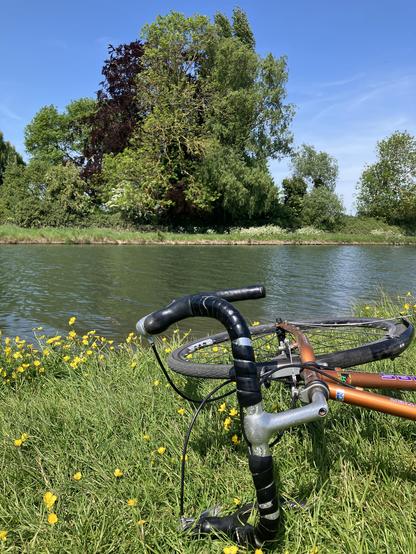 View across the Long Reach of the River Cam from Ditton Meadows with my bicycle lying on the grass in the foreground and trees and blue sky in the background.