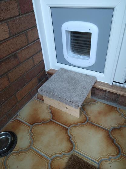 A catflap in a grey panel of a  porch entrance. There is a carpeted step on a tiled floor in front of the catflap