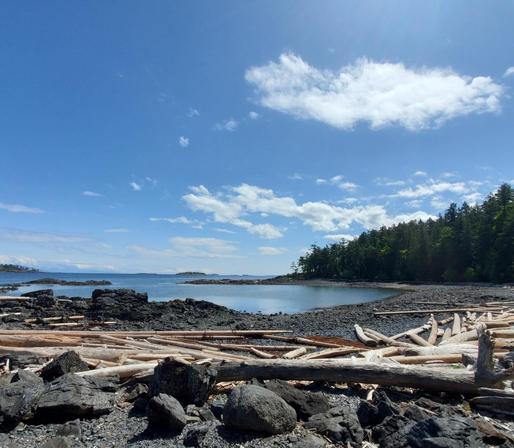 A scenic view of a rocky beach on a sunny day. Smooth grey pebbles cover the shoreline, interspersed with large dark boulders and weathered driftwood logs scattered across the foreground. A sheltered cove of calm, deep blue water extends toward the horizon, where distant islands are visible. Evergreen trees line the upper edge of the beach, and a bright blue sky dotted with fluffy white clouds fills the upper half of the frame.