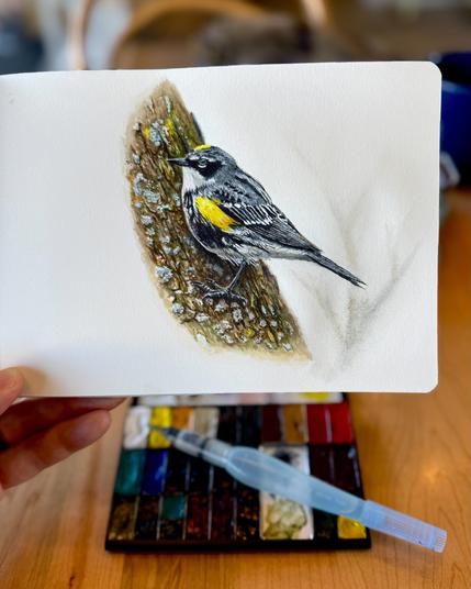 Watercolor painting of a yellow-rumped warbler perched on a tree trunk, with fine details and vibrant yellow markings.