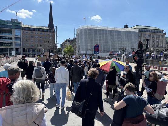 Blick von hinten über den Demo-Zug auf dem Weg über den Jungfernstieg Richtung Rathaus. Ein bunter Sonnenschirm mit Demo-Beschriftung, mehrere kleinere Schilder. (Keine Beschriftungen von hinten lesbar.) Eine Silhouette eines Teenagers aus Pappe mit erhobenem Arm. Schrift auf dem Torso: „Mehr Geld für Forschung!“