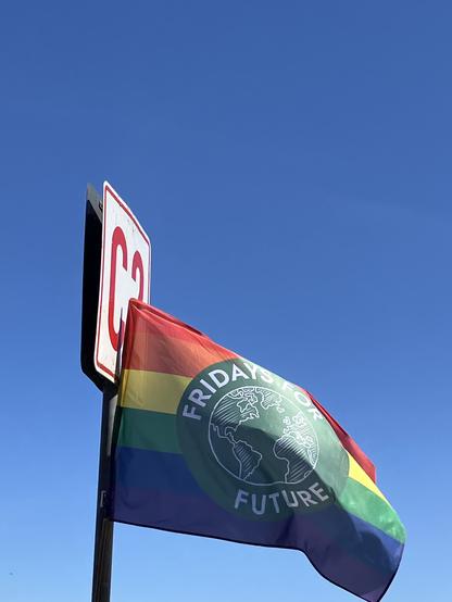 Fridays for Future Flagge vor blauem Himmel und Hafenschild