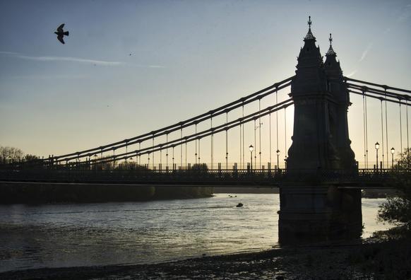 The silhouette of an old suspension bridge with the Sun behind it . There is a bird in the sky.