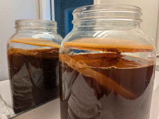 Kombucha fermentation jar in front of a mirror. The off gas has lifted old layers towards the top, forming a plug.