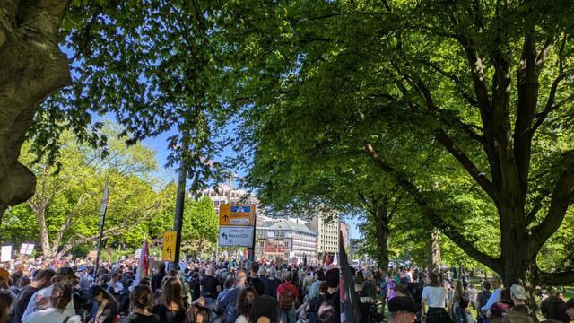 Demoteilnehmer*innen.