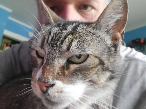 Just me and my cat, Irene. She's closer to the lens and you can barely see my eyes just above her.