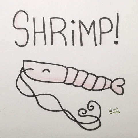 Ink drawing of a happy little cartoon-y shrimp having a nice day. Text reads "Shrimp!"