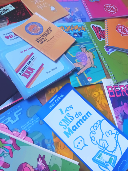 A picture of all my zines/books!