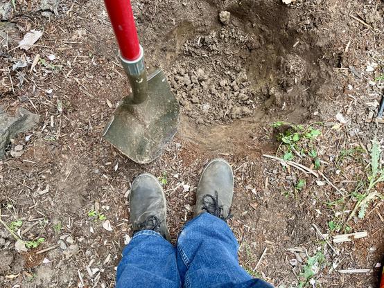 Looking down at my jeans and boots, by a shovel and a hole in the dirt.