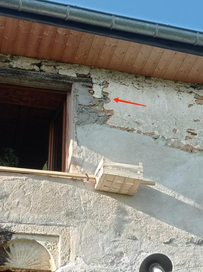 Sur une vieille façade de pierre pleine de trous, une mésange s'apprête à repartir en quête de chenilles et insectes.
Un bon mètre sous le trou d'envol, une cagette en bois est accrochée près du mur grâce à une perche qui tient sur des butées de volets inutiles.