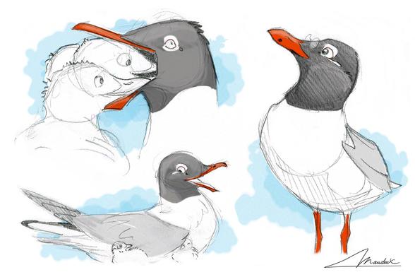 Croquis de mouette mélanocéphales au crayon coloré rapidement sur ordinateur. L'une nourrie ses petits, l'autre protège ses poussins et la 3 porte des lunettes de vue.