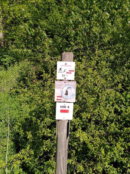 Wegemarkierung vor Wald im Sonnenschein