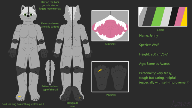 Reference sheet of a muscular female wolf OC Jenny. She has plantigrade feet with fully padded soles, she also has fully padded palms of her hands. She has a fur pattern on her knees and elbows looking like covers on front and back. The padding and fur pattern are both lighter black color in contrast to her gray fur and light gray hair, that has a lighter black stripe going from a little bit below her hair, through the hair and down the back, all the way towards the tip of the tail. She wears a golden toe ring on her right foot. She has green eyes and pink insides. Text on the ref says that her hair gets shorter on the back the more narrow it gets. She is 200cm tall, age same as Avaros and her personality is very teasy, tough but caring, helpful(especially with self improvement)