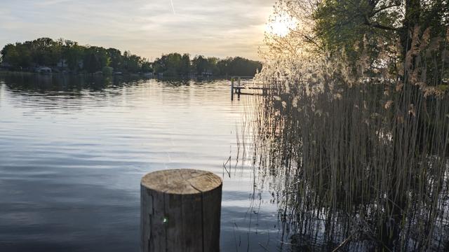 Calm water surface reflects distant trees on the left. On the right dried reeds. The sun is setting behind thin clouds. A wooden pillar from a pier is sticking out to the picture from the bottom.