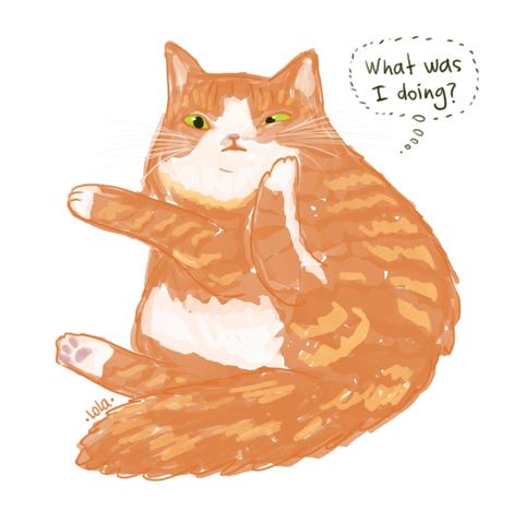 Digital painting of an orange cat, sitting in a funny pose with one of its back legs up, and a startled face, saying "what was I doing?"