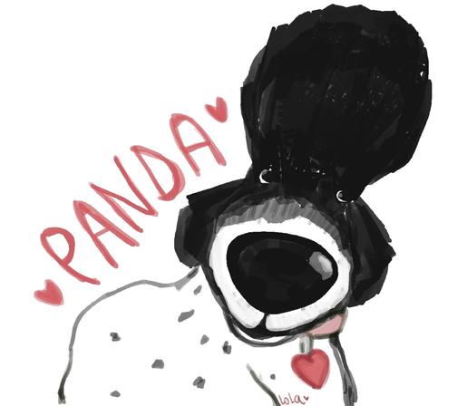 Digital painting of a black and white dog named Panda, with a big pompadour on top of its head.