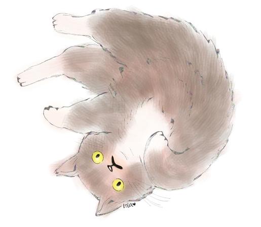 Digital painting of a cat rolling upside down showing its belly, colored in soft brown.