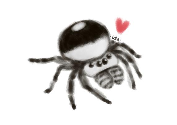 Digital painting of a jumping spider, black and white, with a little heart on top.