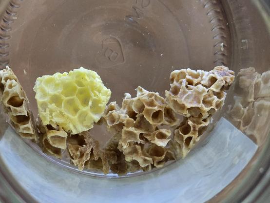 Several pieces of burr comb and one of fresh yellow comb in the bottom of a jar.