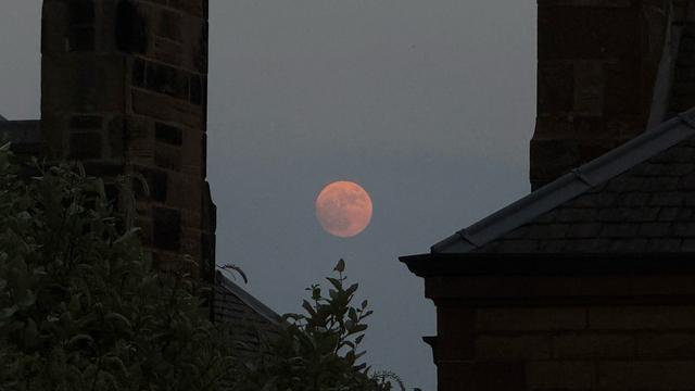 An orange-pink full moon low in the sky, framed symmetrically between two dark stone buildings and rooftops. There are silhouetted tree branches in the foreground below the moon.