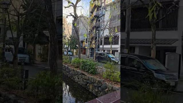 Kyoto, Japan 🇯🇵 #shorts #kyoto #japan