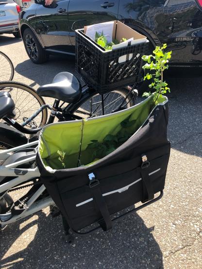 bike with a rear crate basket with a box of plants and a cargo bike with rear panniers one of them open with tall plants sticking out