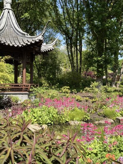Chinese Pagoda in the Chinese garden. Pink flowers in the foreground. Tall trees in the background