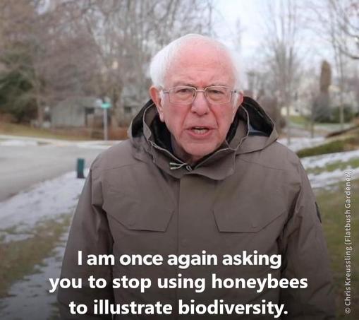 Meme: Bernie Sanders standing on an empty residential street where it has recently snowed, speaking to the camera:
"I am once again asking
you to stop using honeybees
to illustrate biodiversity."
(He never said this.)