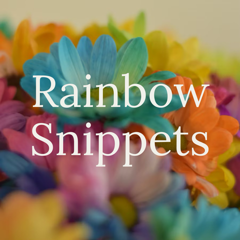 Rainbow Snippets. Background of a bouquet of rainbow colored flowers