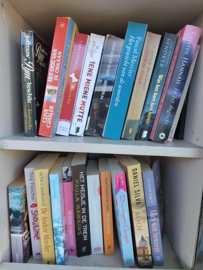 Inhoud van het biebje: twee planken elk gevuld met een rij boeken, allemaal fictie, 22 in totaal