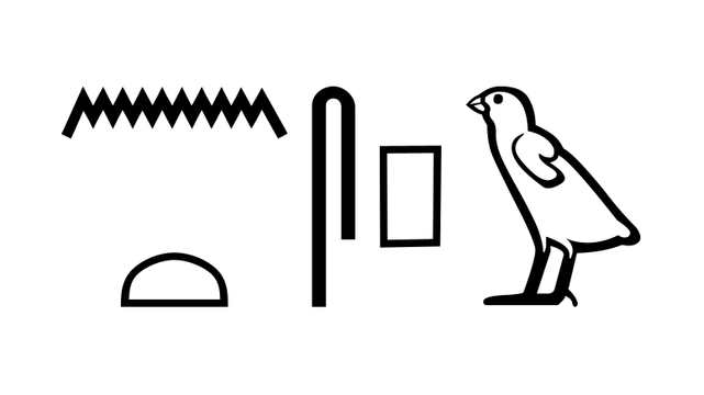 Hieroglyphs representing an ancient Egyptian sentence. Transliteration and translation are in the reply.